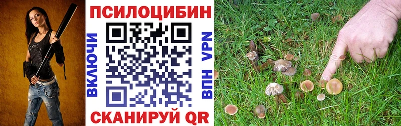 ссылка на мегу   Петровск  Псилоцибиновые грибы MAGIC MUSHROOMS 
